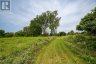40 HOWE ISLAND DRIVE, Frontenac Islands (howe Island), Ontario, K7L4V1 (ID X13601526)