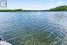 1025 PARSONS POINT LANE, Frontenac (frontenac South), Ontario, K0H2W0 (ID X13602380)