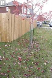 104 VILLAGE GATE DRIVE Wasaga Beach Ontario photo 38