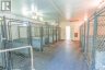 2477 PIGEON LAKE ROAD, Kawartha Lakes (bobcaygeon), Ontario, K0M1A0 (ID X13603442)