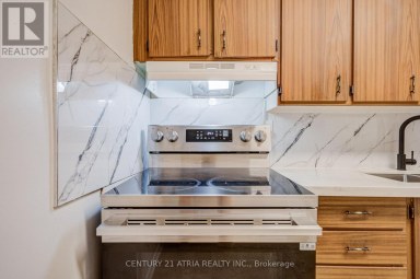 303 - 1360 YORK MILLS ROAD Toronto (Parkwoods-Donalda) Ontario photo 25