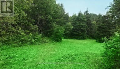 4 - 93 RYE ROAD Parry Sound Remote Area (Lount) Ontario photo 1