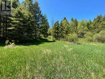 4 - 93 RYE ROAD Parry Sound Remote Area (Lount) Ontario photo 12