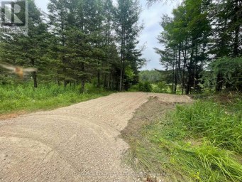 4 - 93 RYE ROAD Parry Sound Remote Area (Lount) Ontario photo 4