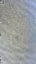 173 HIGH SHORE ROAD, Marmora And Lake (marmora Ward), Ontario, K0K2M0 (ID X13604060)