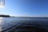173 HIGH SHORE ROAD, Marmora And Lake (marmora Ward), Ontario, K0K2M0 (ID X13604060)