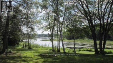 132 LOWER FARADAY ROAD Faraday Ontario photo 11