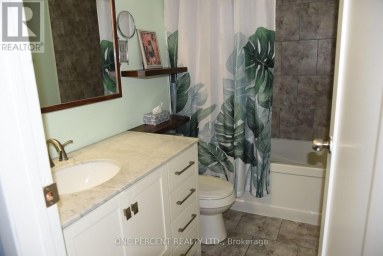 31 PRINCE STREET Minden Hills (Minden) Ontario photo 11