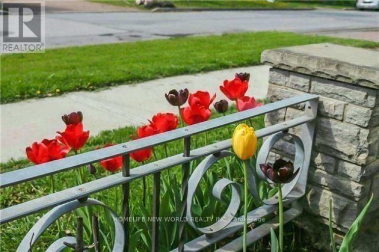 LOWER - 298 MCKEE AVENUE, Toronto (Willowdale East), Ontario, M2N4E3