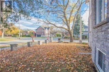 LOWER - 298 MCKEE AVENUE Toronto (Willowdale East) Ontario photo 9