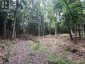 1149 GOLDEN BEACH ROAD, Bracebridge (monck (bracebridge)), Ontario, P1L1W8 (ID X13606252)