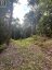 1149 GOLDEN BEACH ROAD, Bracebridge (monck (bracebridge)), Ontario, P1L1W8 (ID X13606252)