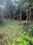 1149 GOLDEN BEACH ROAD, Bracebridge (monck (bracebridge)), Ontario, P1L1W8 (ID X13606252)