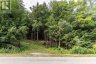 1149 GOLDEN BEACH ROAD, Bracebridge (monck (bracebridge)), Ontario, P1L1W8 (ID X13606252)