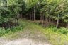 1149 GOLDEN BEACH ROAD, Bracebridge (monck (bracebridge)), Ontario, P1L1W8 (ID X13606252)