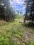 1149 GOLDEN BEACH ROAD, Bracebridge (monck (bracebridge)), Ontario, P1L1W8 (ID X13606252)