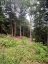 1149 GOLDEN BEACH ROAD, Bracebridge (monck (bracebridge)), Ontario, P1L1W8 (ID X13606252)