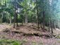 1149 GOLDEN BEACH ROAD, Bracebridge (monck (bracebridge)), Ontario, P1L1W8 (ID X13606252)