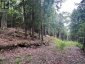 1149 GOLDEN BEACH ROAD, Bracebridge (monck (bracebridge)), Ontario, P1L1W8 (ID X13606252)