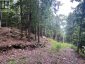 1149 GOLDEN BEACH ROAD, Bracebridge (monck (bracebridge)), Ontario, P1L1W8 (ID X13606252)