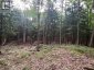 1149 GOLDEN BEACH ROAD, Bracebridge (monck (bracebridge)), Ontario, P1L1W8 (ID X13606252)