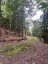 1149 GOLDEN BEACH ROAD, Bracebridge (monck (bracebridge)), Ontario, P1L1W8 (ID X13606252)