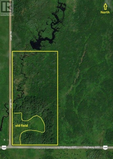 PARCEL 17499 HIGHWAY 600 HIGHWAY N, Lake of the Woods (Morson), Ontario, P0W1M0