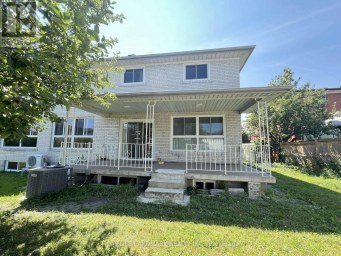29 TILLPLAIN ROAD Toronto (Bathurst Manor) Ontario photo 43