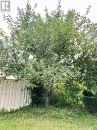 29 TILLPLAIN ROAD Toronto (Bathurst Manor) Ontario photo 45