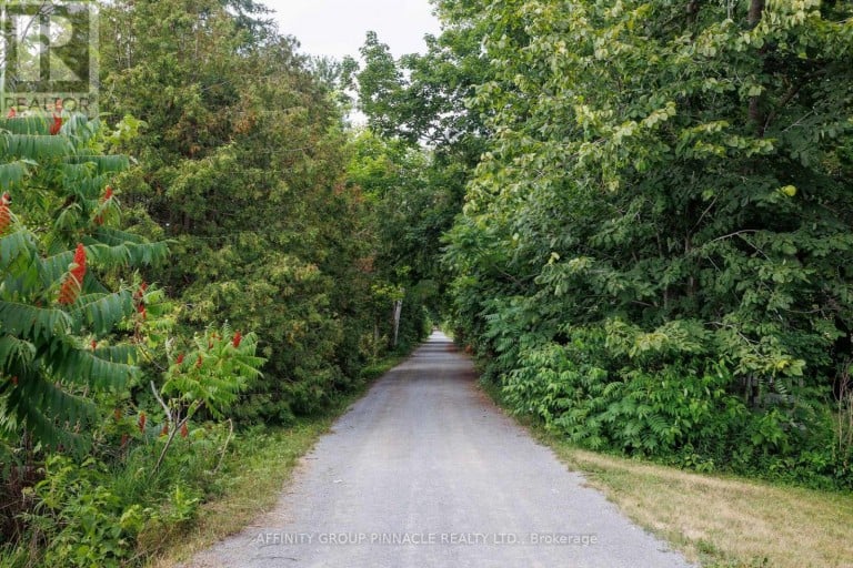 183 LOUISA STREET, Kawartha Lakes (Fenelon Falls), Ontario, K0M1N0
