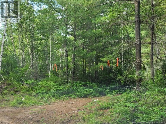 Lot Graham Road, South Oromocto Lake, New Brunswick, E5L0O0