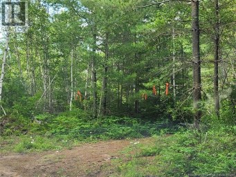 Lot Graham Road South Oromocto Lake New Brunswick photo 12