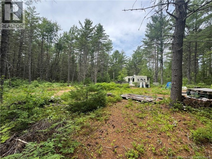 Lot Graham Road, South Oromocto Lake, New Brunswick, E5L0O0