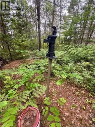 Lot Graham Road South Oromocto Lake New Brunswick photo 6