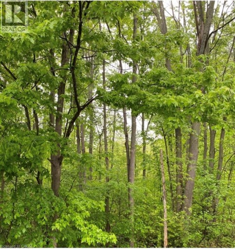 N/a Regional Rd 46 Road, North Dumfries, Ontario (id 40851086)