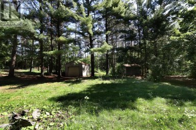 8570 HWY 12 Oro-Medonte Ontario photo 34