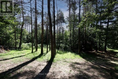 8570 HWY 12 Oro-Medonte Ontario photo 40
