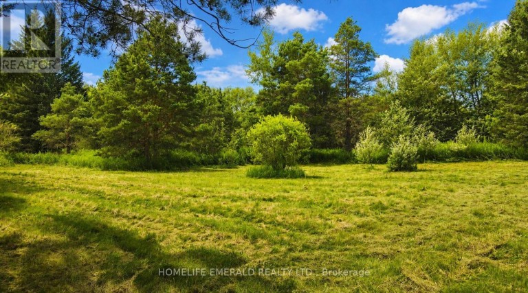 4881 ORSER STREET, Clearview (Brentwood), Ontario, L0M1N0