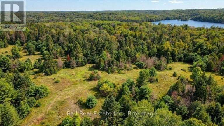 0 CLYDESDALE ROAD, North Kawartha, Ontario, K0L1A0
