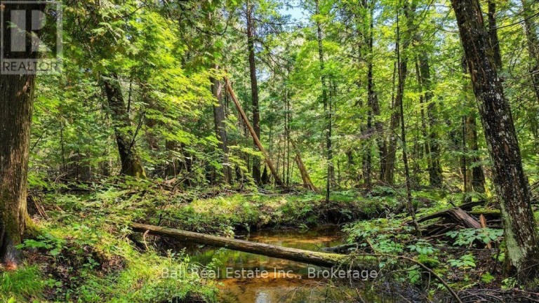 0 CLYDESDALE ROAD, North Kawartha, Ontario, K0L1A0