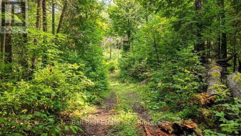 0 CLYDESDALE ROAD, North Kawartha, Ontario, K0L1A0