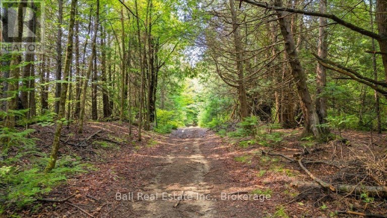 0 CLYDESDALE ROAD, North Kawartha, Ontario, K0L1A0