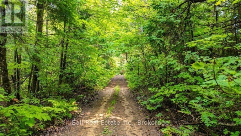0 CLYDESDALE ROAD, North Kawartha, Ontario, K0L1A0