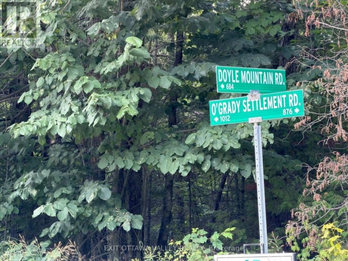942 O'grady Settlement Road, Killaloe, Hagarty And Richards, Ontario (id X13610696)
