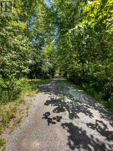 203 BULLIS ROAD, Brighton, Ontario, K0K1H0