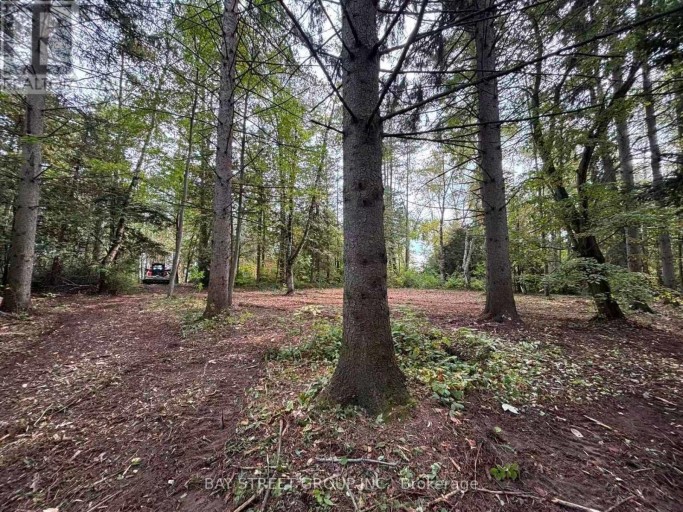 3358 CRESCENT HARBOUR ROAD, Innisfil, Ontario, L9S2Y8
