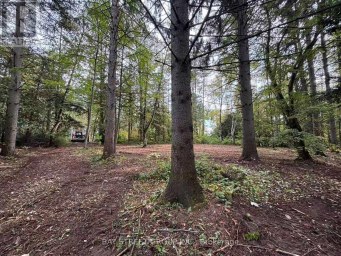3358 CRESCENT HARBOUR ROAD Innisfil Ontario photo 3