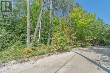3358 CRESCENT HARBOUR ROAD Innisfil Ontario photo 6