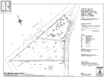 3358 CRESCENT HARBOUR ROAD Innisfil Ontario photo 7