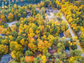 4 NIDA CRESCENT Wasaga Beach Ontario photo 5